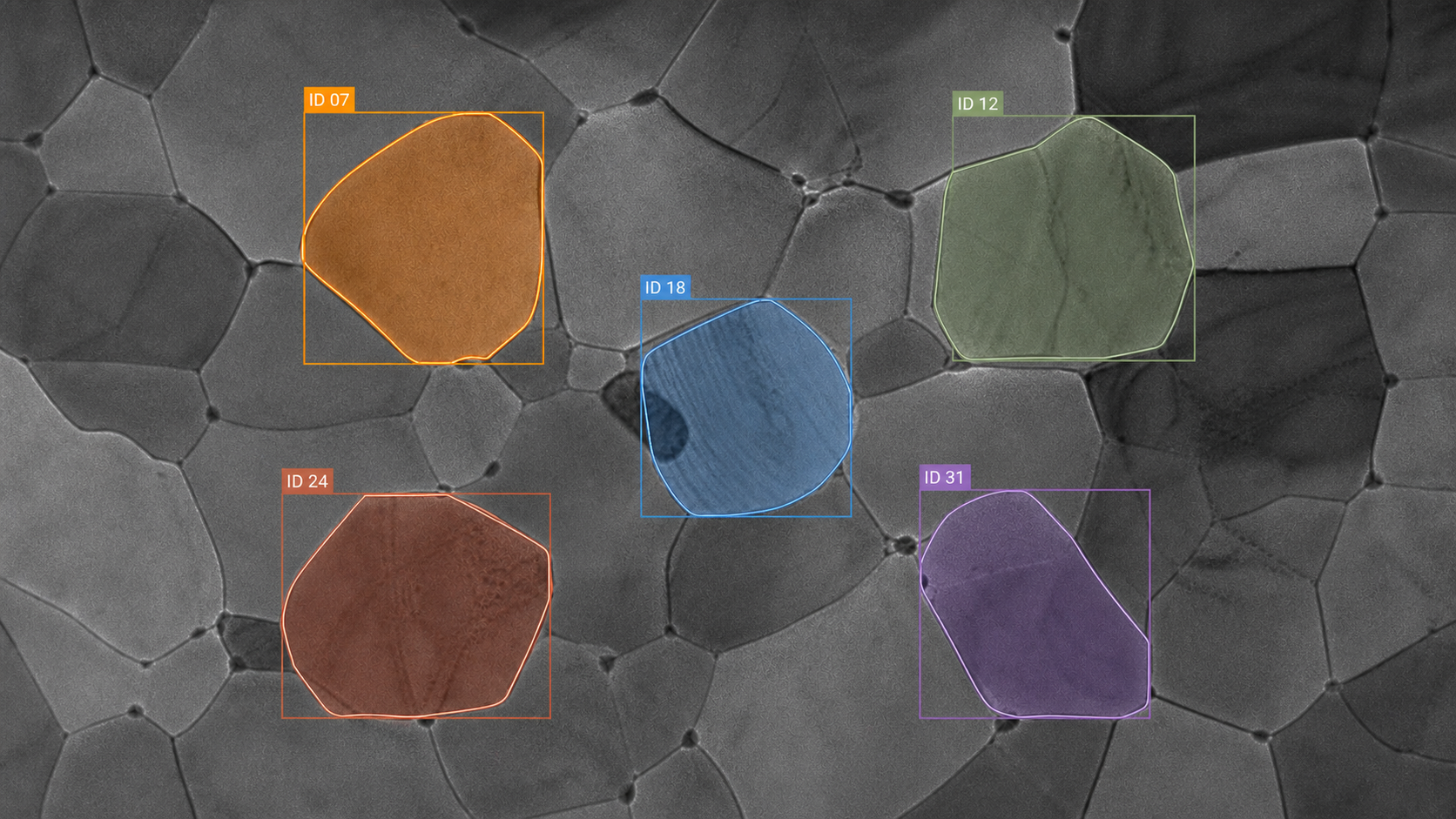 Conceptual TEM-style frame with five segmented grains, bounding boxes, and persistent tracking identifiers